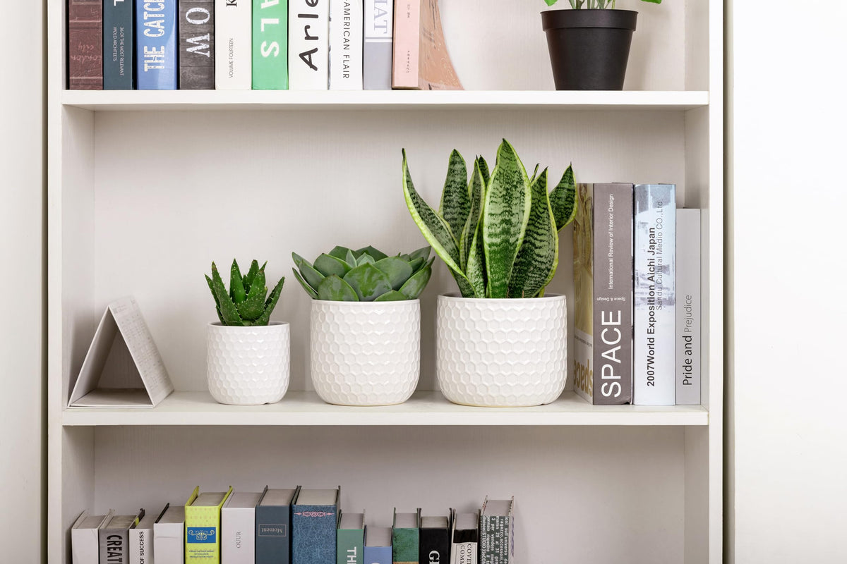 Docrin pots with anti-slip bases stay stable on desks.