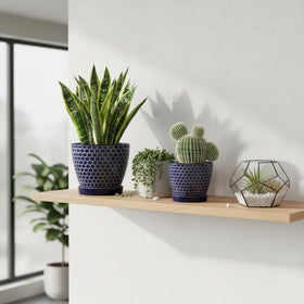 Docrin blue honeycomb planter packaging suitable as gift