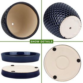 Docrin blue honeycomb pot 5.5-inch front view for small plants