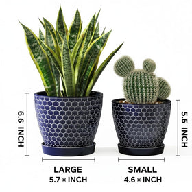 Docrin blue honeycomb pot 6.6-inch glaze close-up shows durability