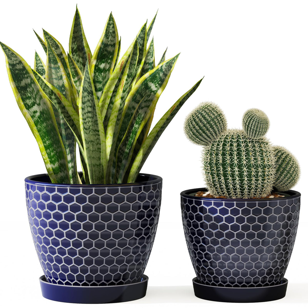 Docrin blue honeycomb pot 6.6-inch front view for living spaces