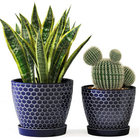 Docrin blue honeycomb pot 6.6-inch front view for living spaces