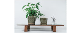 Docrin ceramic planter with matching saucer helps keep surfaces clean.