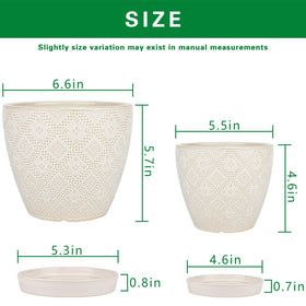 Docrin 5.5 inch ceramic pot white for compact indoor plants