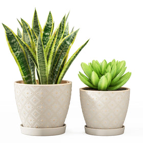Docrin 6.6 inch ceramic pot white for elegant indoor planting