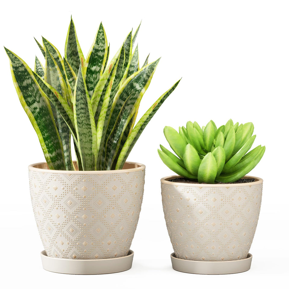 Docrin 6.6 inch ceramic pot white for elegant indoor planting