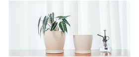 Docrin pot angled view showcases minimalist white finish