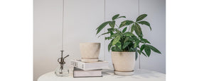 Docrin pot on desk setup brings modern decor