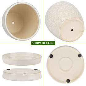 Docrin ceramic pot with saucer white keeps surfaces clean