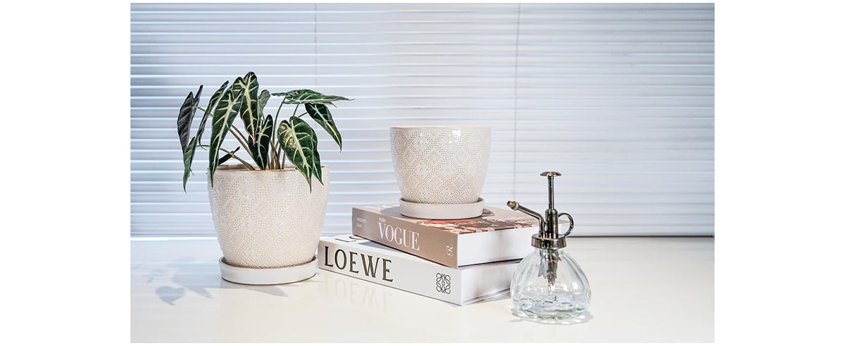 Docrin pot on window sill adds natural light ambiance