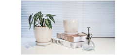 Docrin pot on window sill adds natural light ambiance