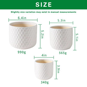 Docrin ceramic pots showcase a white honeycomb texture for elegant spaces.