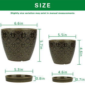 Docrin dark-green ceramic planter 5.5-inch ideal for desk herbs and accents.