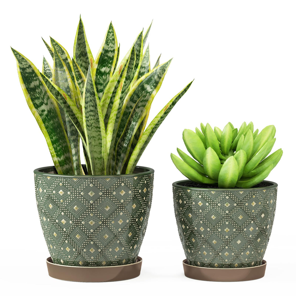 Docrin dark-green ceramic planter 6.6-inch for compact succulents and herbs in small spaces.
