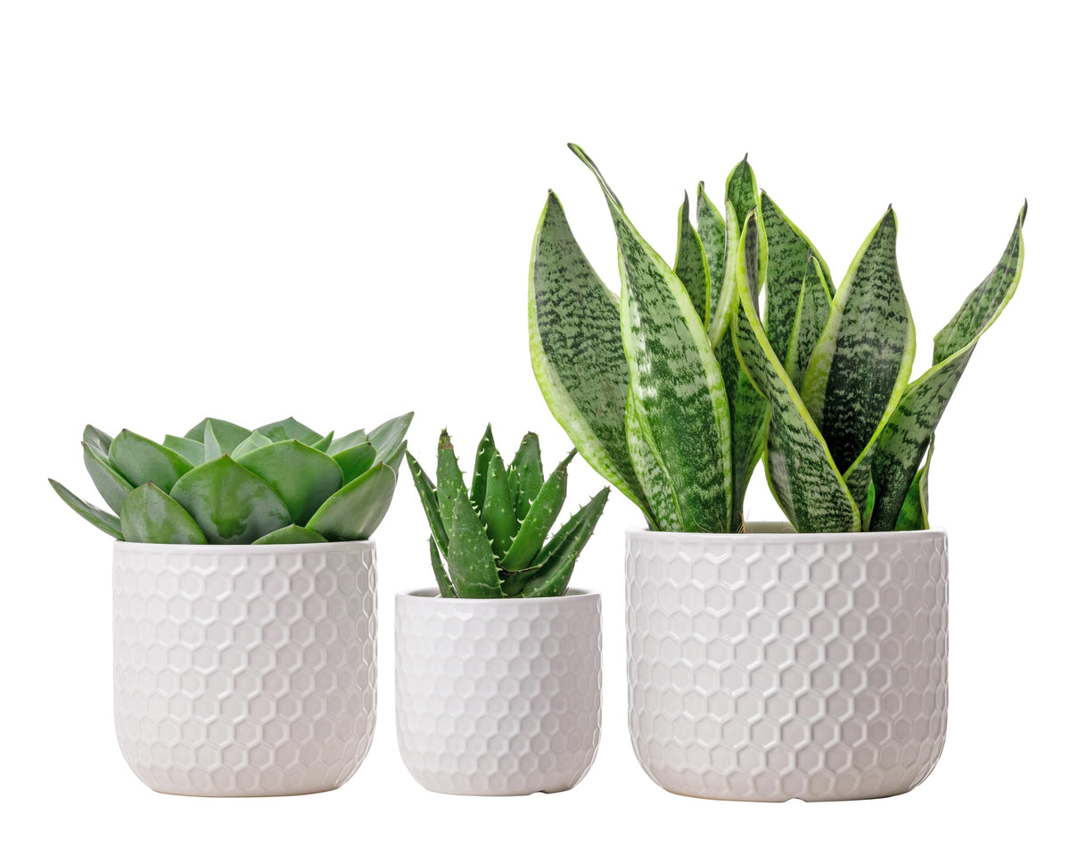 Docrin honeycomb finish resists fading, keeping a fresh look longer.