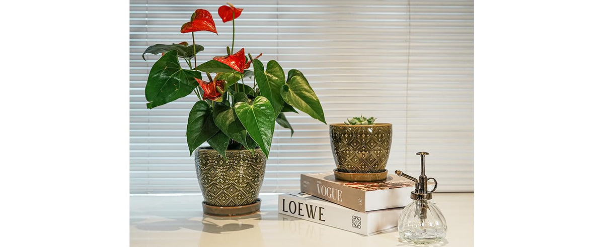 Docrin office-ready planter on desk or shelf elevates workspace.