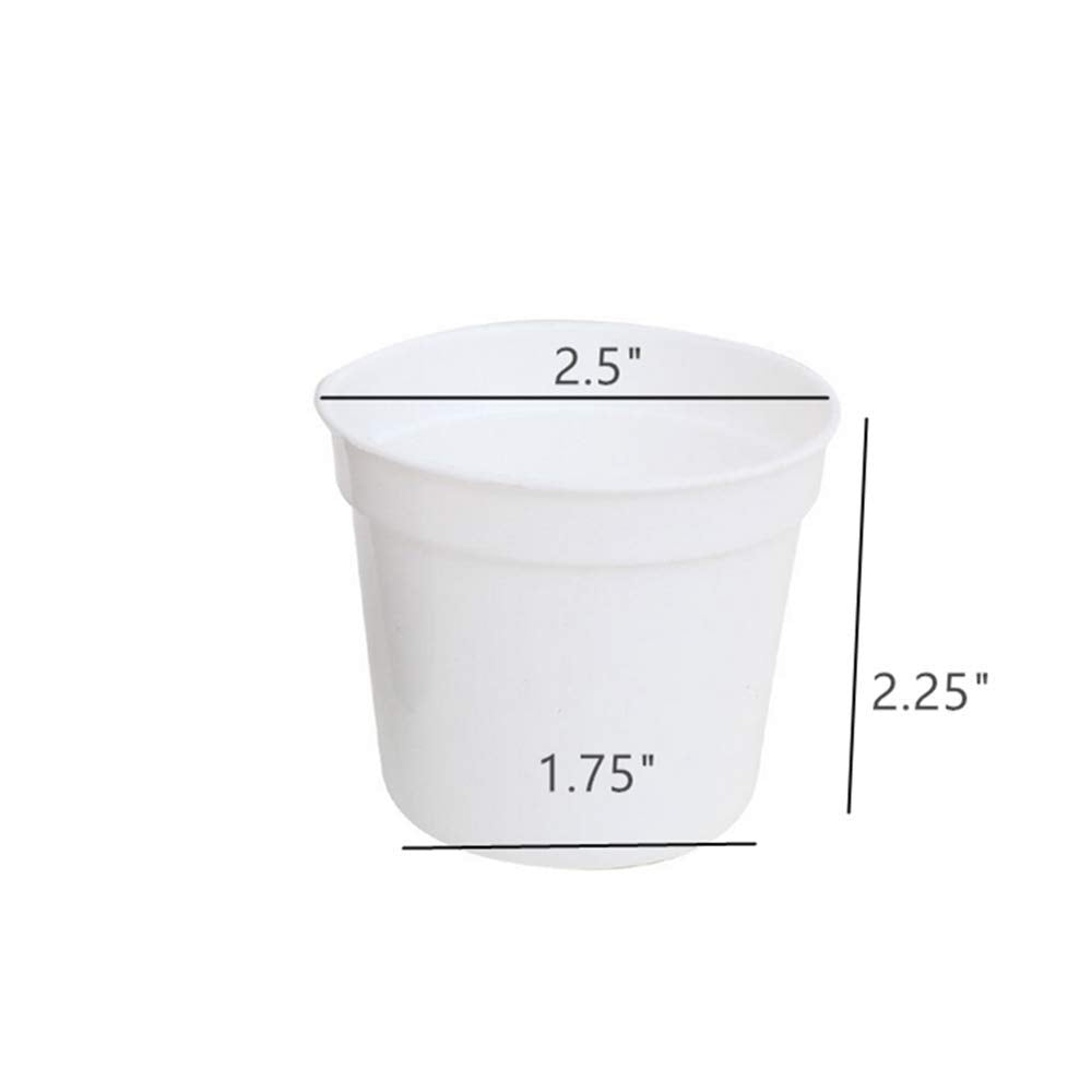 DODXIAOBEUL pot with drainage holes detail, prevents overwatering for healthy young plants.
