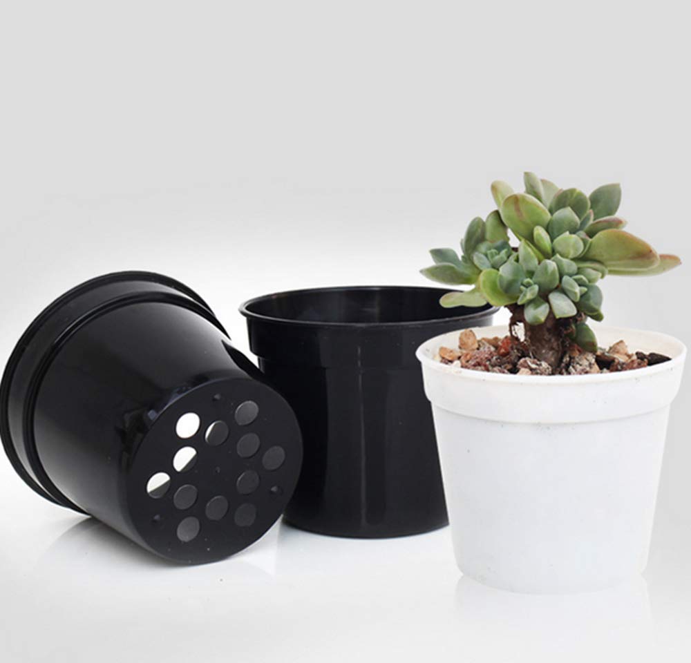 DODXIAOBEUL black mini pots with saucers, ideal for nursery transplanting.
