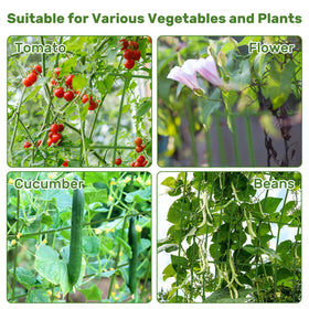 Doeworks cucumber trellis easy assembly and foldable design saves space.