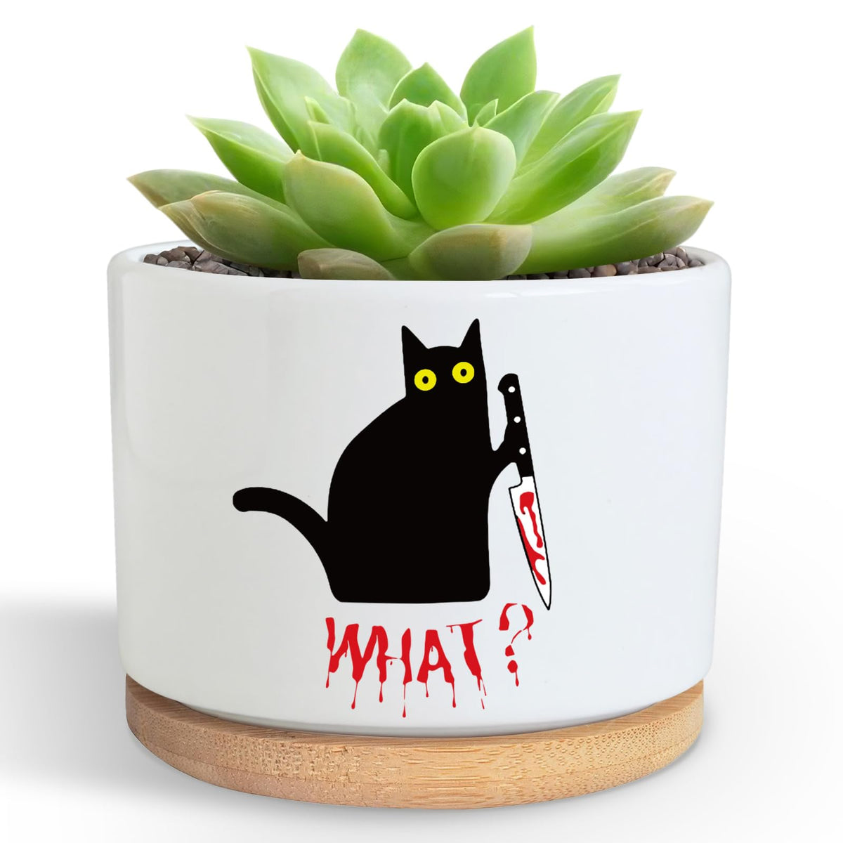 DOFAFALA Funny Hello Black Cat pot enhances windowsill decor with playful charm.