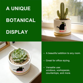 DOFAFALA gift for plant lovers: charming cat planter idea for occasions.