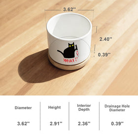 DOFAFALA indoor decor cat planter adds whimsy to home or office spaces.