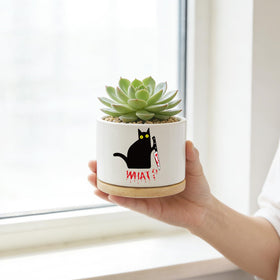 DOFAFALA miniature cat pot perfect for small plants on a desk or shelf.