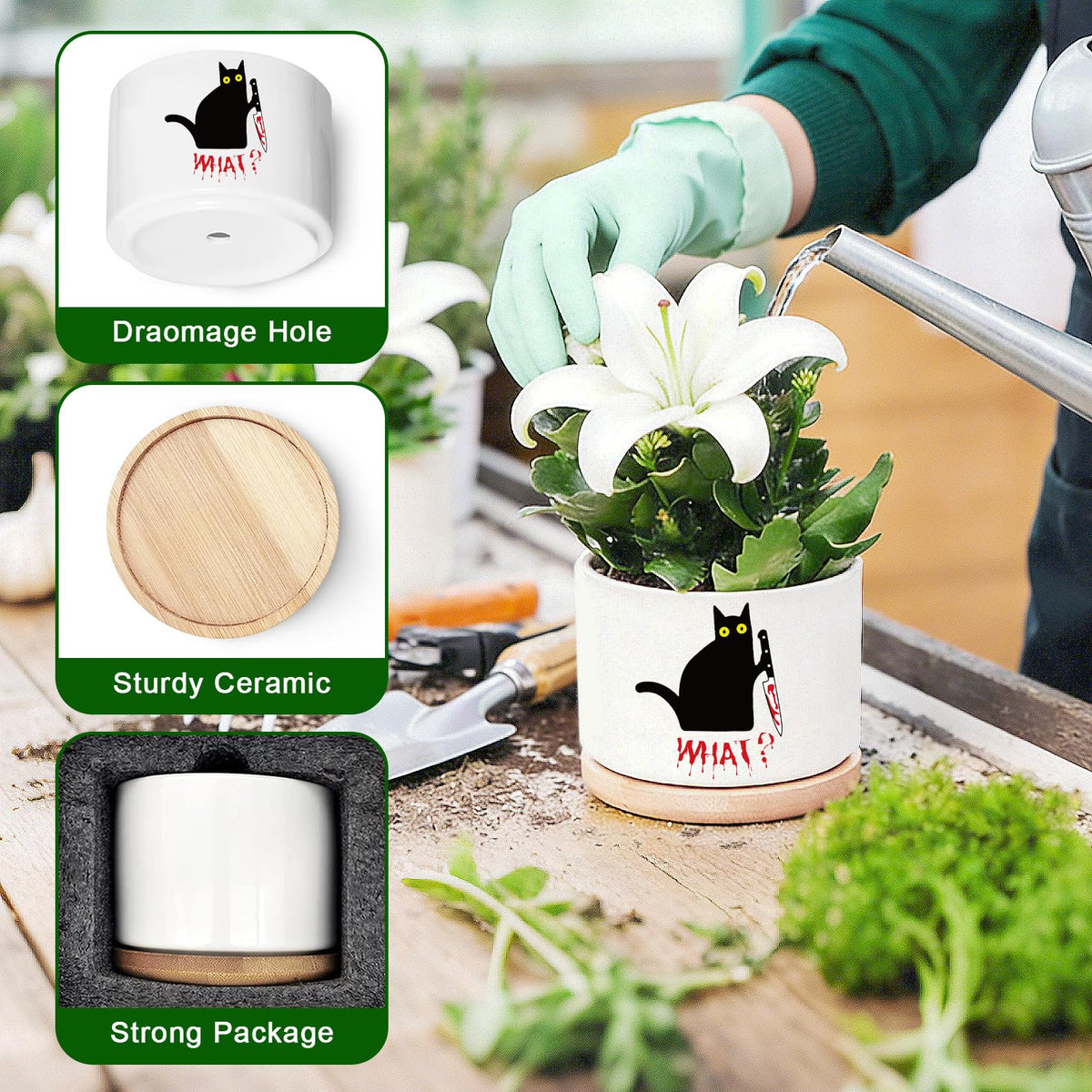 DOFAFALA ceramic pot features drainage hole to support healthy watering.