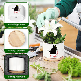 DOFAFALA ceramic pot features drainage hole to support healthy watering.