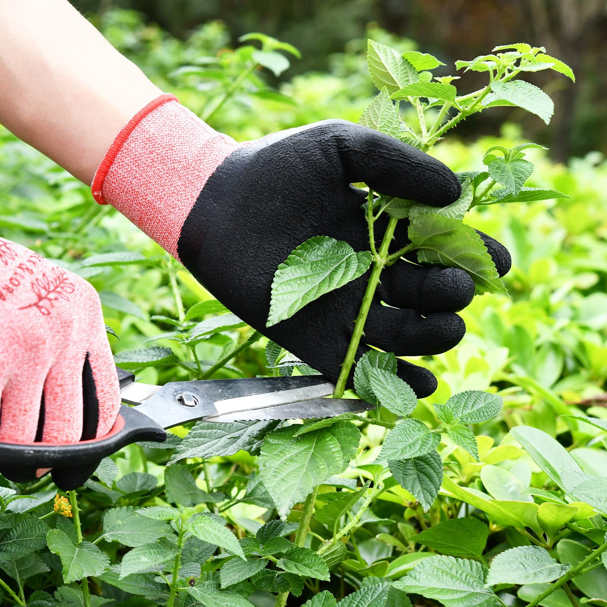 DOFOWORK 6-pack gloves ideal for weeding, planting, and fruit picking.