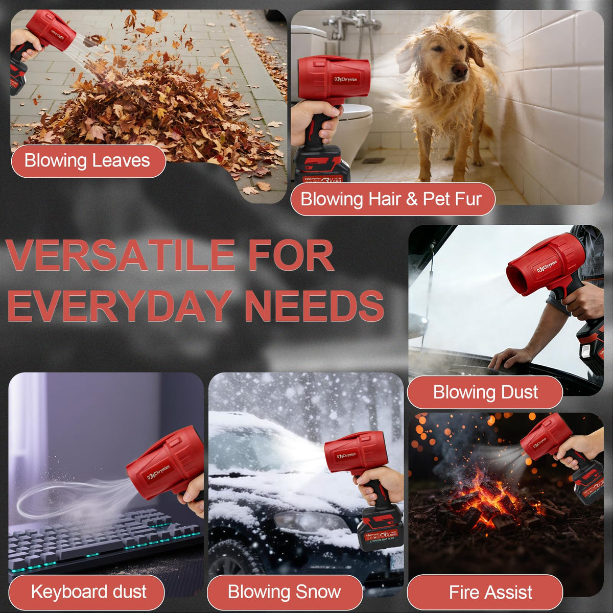 DogChrymion blower powers fast leaf removal on balconies.
