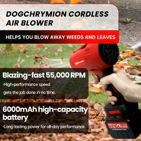 DogChrymion wind up to 150 MPH for rapid surface drying.