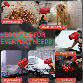 DogChrymion precision quick-clean for patios and driveways.