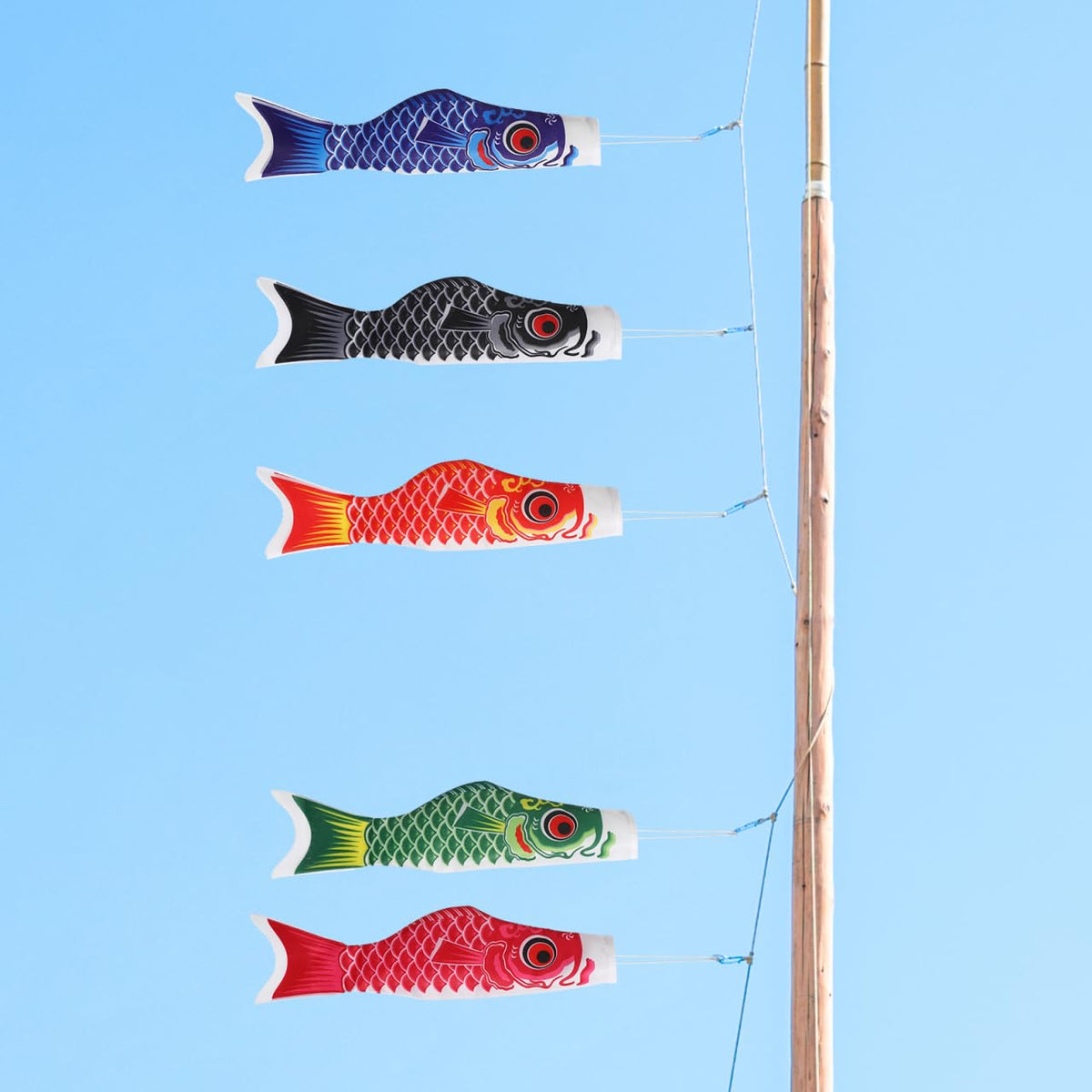 DOITOOL vibrant carp windsocks for celebrations and luck motifs.