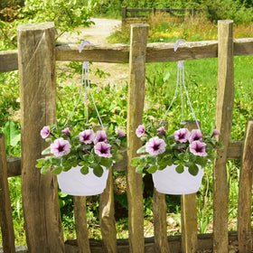 DOITOOL 10-pack packaging enables uniform decorative arrangements
