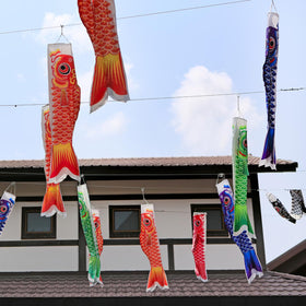 DOITOOL koi carp windsock satin fabric close-up showing bright colors.