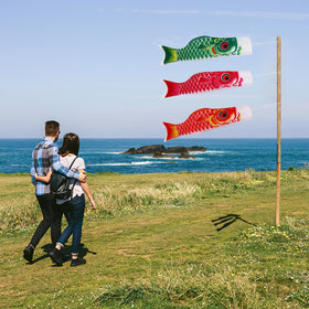 DOITOOL Koinobori windsock easy-installation for quick garden setup.