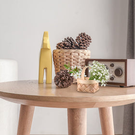 DOITOOL basket for windowsill decor brightens home or office.