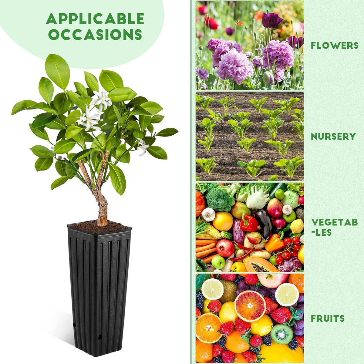 DOITOOL garden pot for tomatoes, peppers, herbs and flowers.