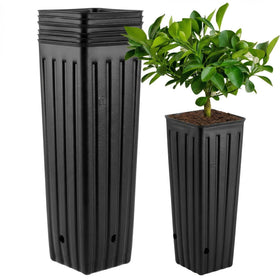 DOITOOL tall plant pot with 11-2 inch height for space saving.