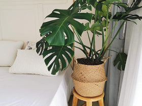 DOKOT basket folded into a bowl for flexible storage
