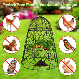 Doksving animal-proof garden protection for tomatoes, strawberries, and saplings.