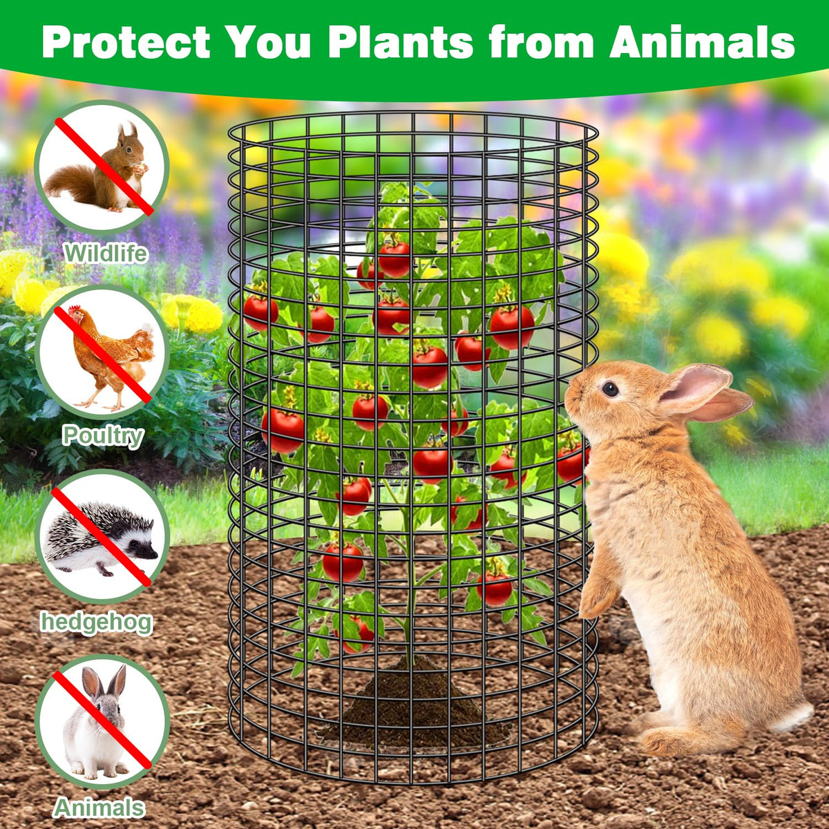Doksving chicken-wire cloche DIY-shape option tailors coverage to plant form.