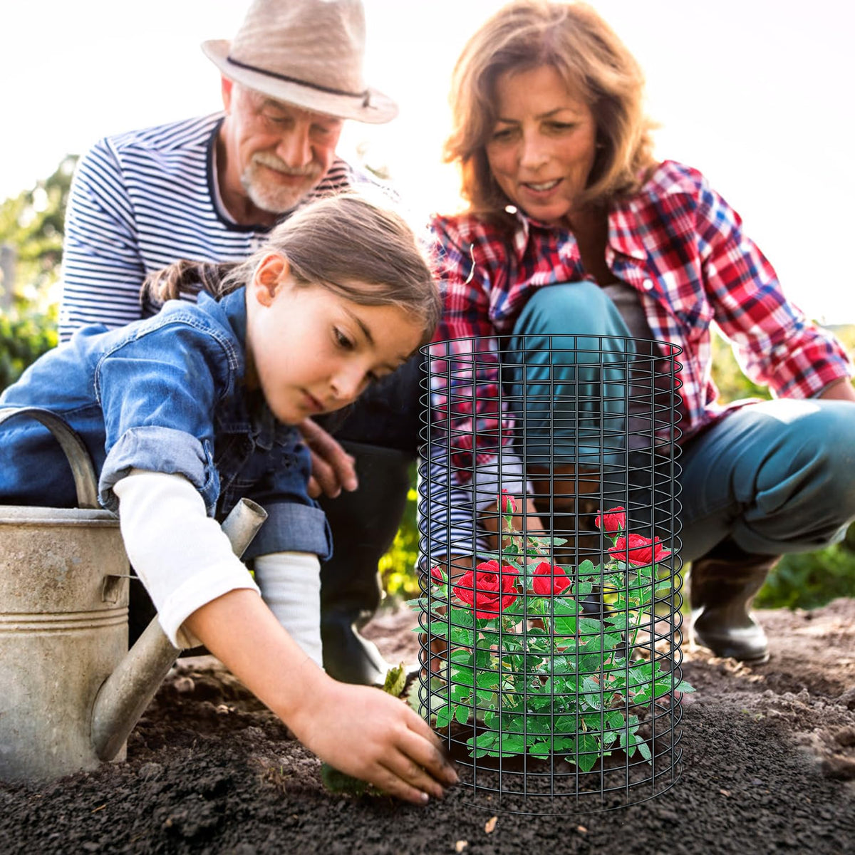 Doksving chicken-wire cloche pest-deterrence protects vegetables and berries.