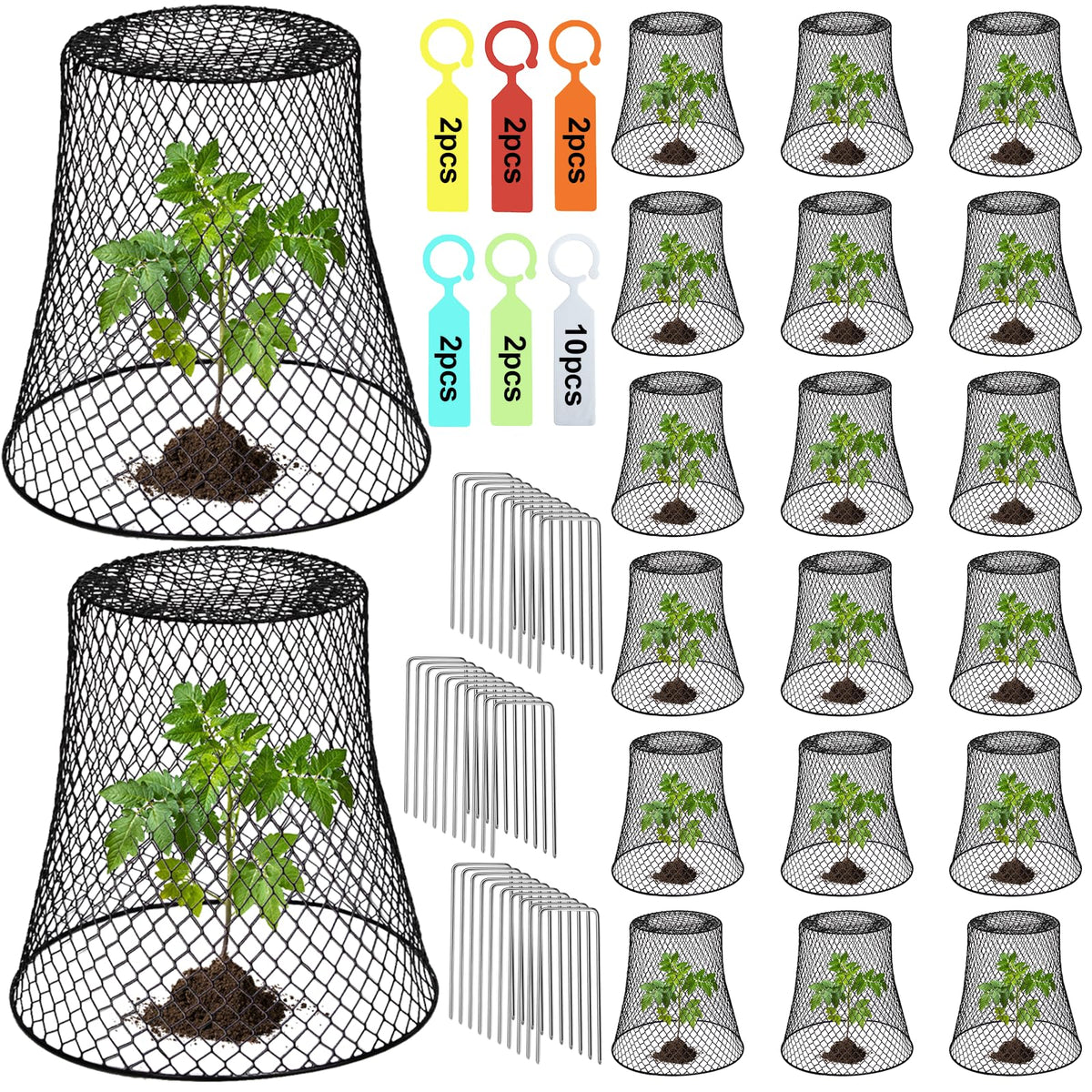 Doksving chicken wire plant cover shielding a seedling from pests.