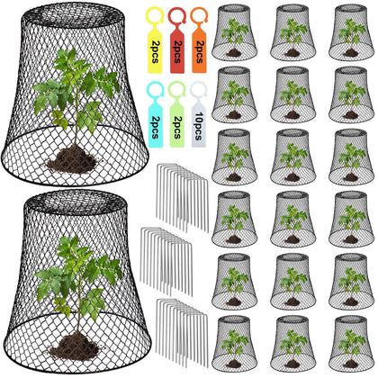 Doksving chicken wire plant cover shielding a seedling from pests.