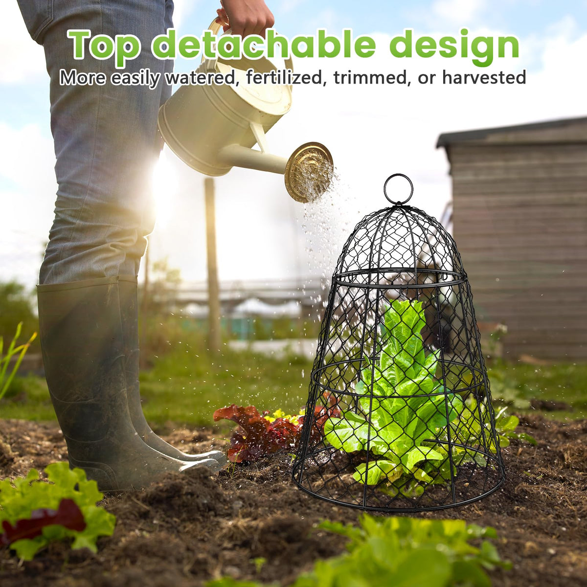 Doksving metal chicken-wire plant covers maintain sun and airflow.