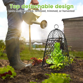 Doksving metal chicken-wire plant covers maintain sun and airflow.