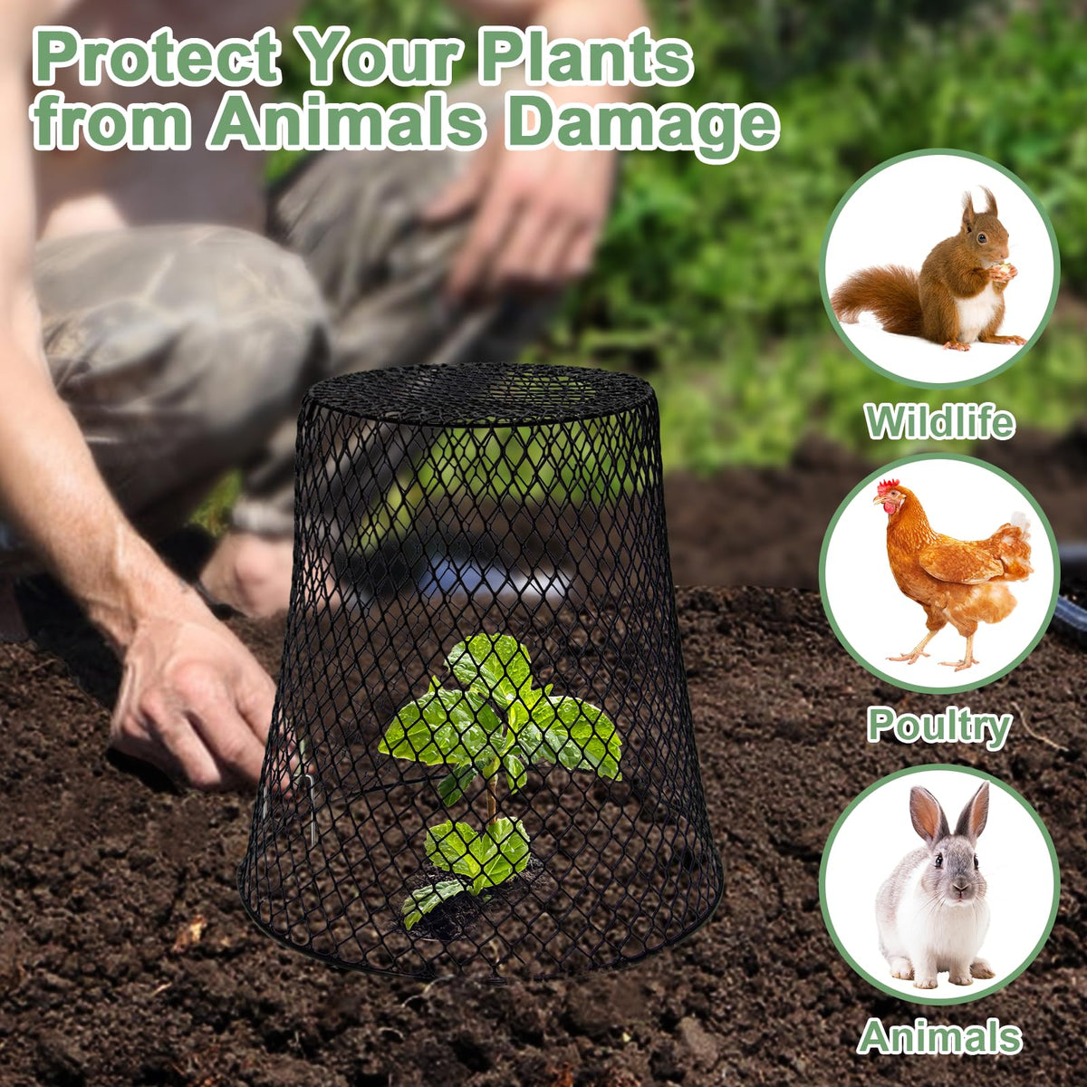 Doksving 20-piece kit provides complete plant protection for multiple plants.