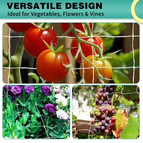 DOLEMODUO arch trellis setup for garden design.